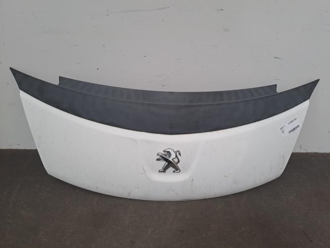 Image Capot - PEUGEOT ION