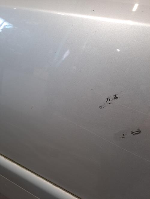 Image Porte avant gauche - RENAULT LAGUNA 2