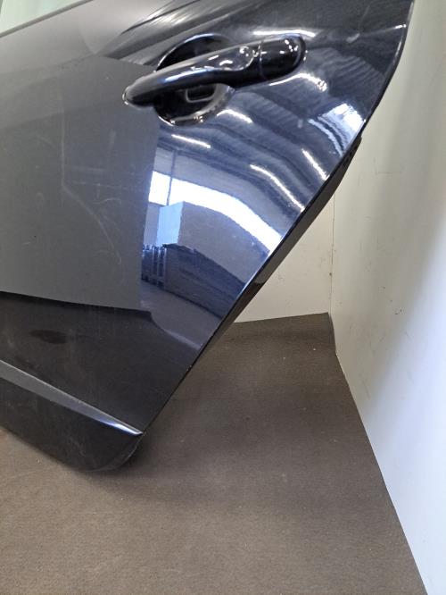 Image Porte arriere gauche - RENAULT SCENIC 3
