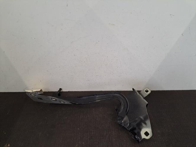 Image Charniere de capot - RENAULT SCENIC 3