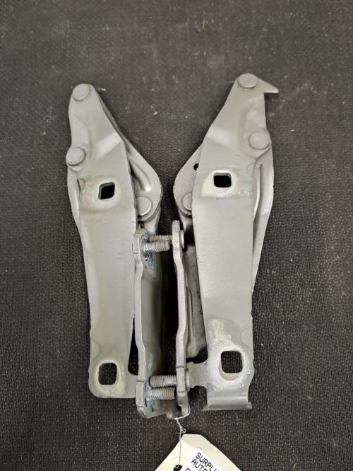 Image Charniere de capot - RENAULT GRAND SCENIC 2