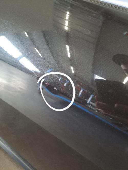 Image Porte arriere gauche - RENAULT LAGUNA 3