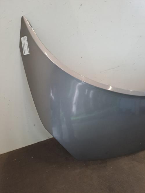 Image Capot - RENAULT SCENIC 2