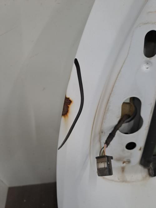 Image Porte avant gauche - RENAULT KANGOO 2