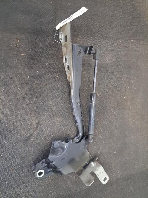 Image Charniere de capot - RENAULT SCENIC 3
