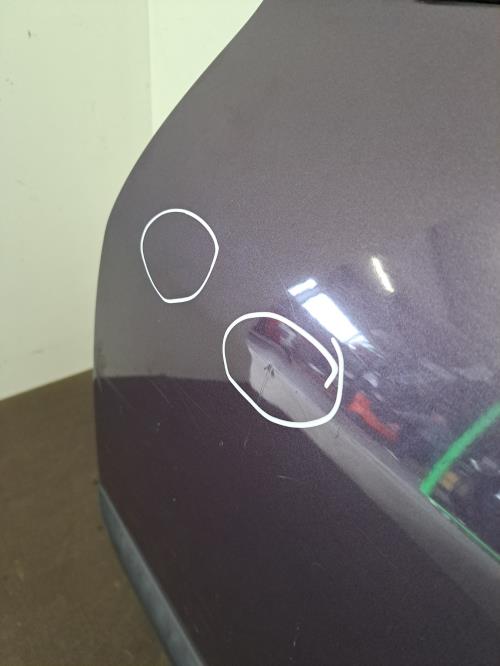 Image Porte arriere gauche - PEUGEOT 307