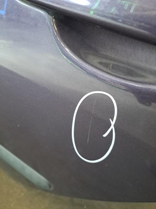 Image Porte arriere gauche - PEUGEOT 307