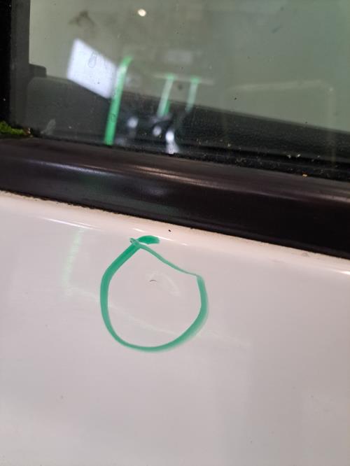 Image Porte avant gauche - RENAULT CLIO 3