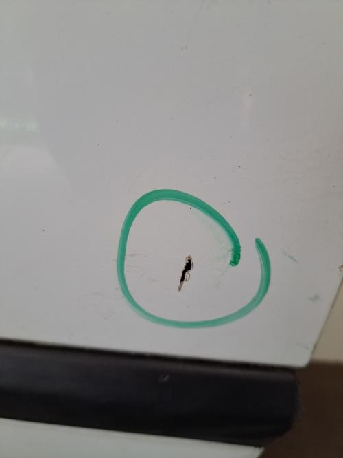 Image Porte avant gauche - RENAULT CLIO 3