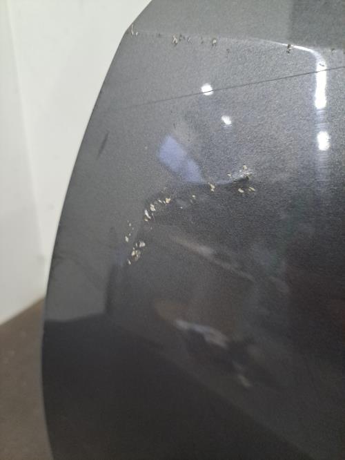 Image Porte arriere gauche - VOLKSWAGEN POLO 5