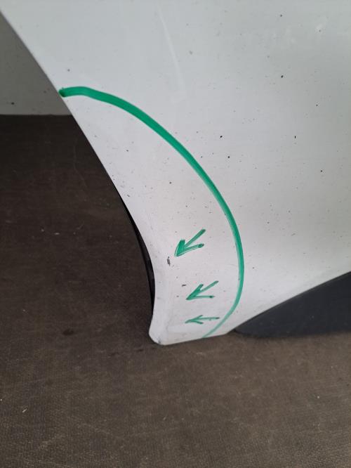 Image Porte avant gauche - OPEL VIVARO 2
