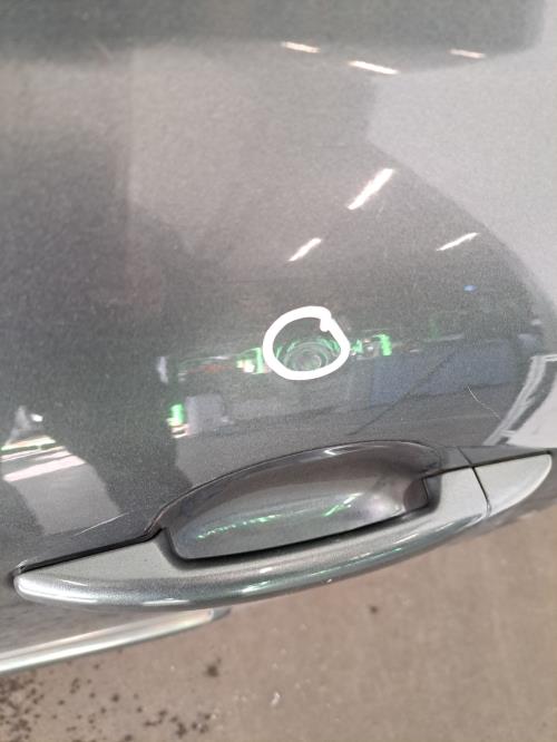 Image Porte arriere gauche - PEUGEOT 207