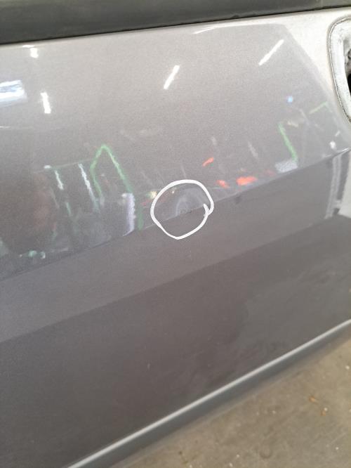 Image Porte avant droit - RENAULT GRAND MODUS