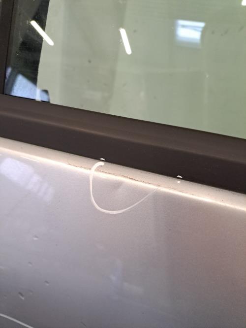 Image Porte arriere gauche - VOLKSWAGEN PASSAT 4