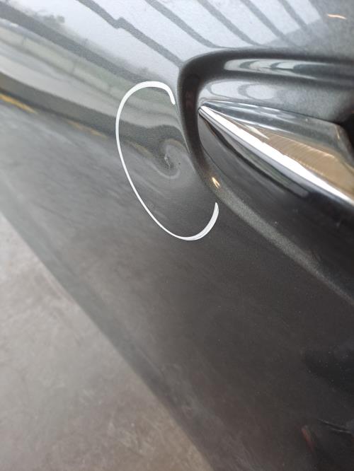 Image Porte arriere gauche - CITROEN C4 PICASSO 2