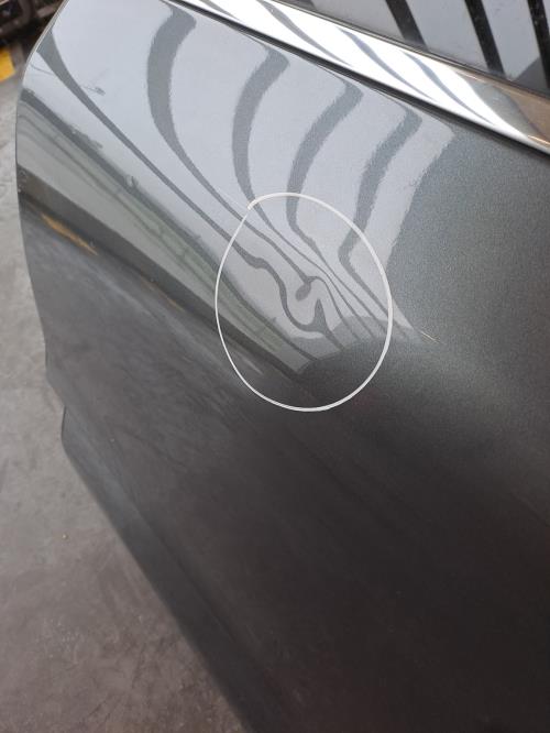 Image Porte arriere gauche - CITROEN C4 PICASSO 2
