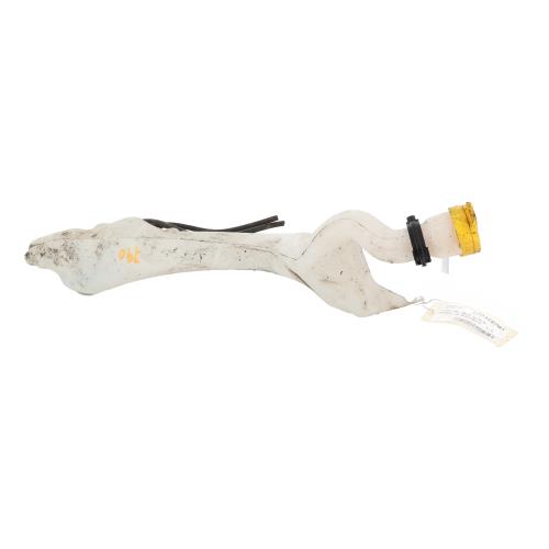 Image Vase de lave glace - RENAULT SCENIC 4
