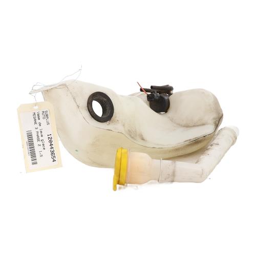 Image Vase de lave glace - RENAULT MEGANE 3