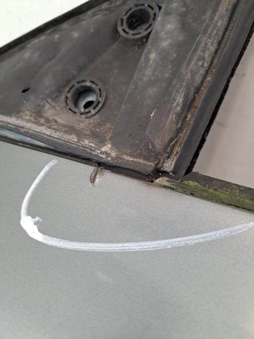 Image Porte avant gauche - PEUGEOT 406