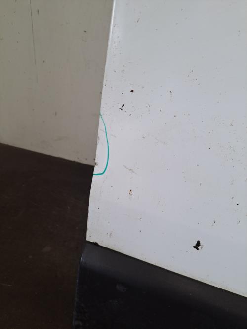 Image Porte de coffre droit - NISSAN NV400