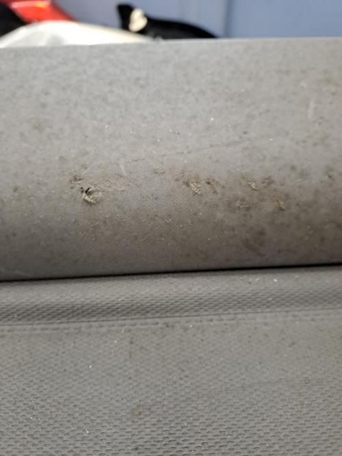 Image Plage arriere - BMW X3 E83