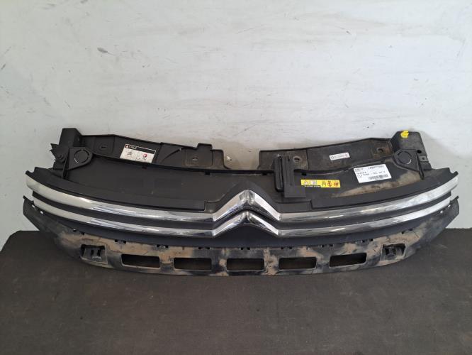 Image Calandre - CITROEN C3 3