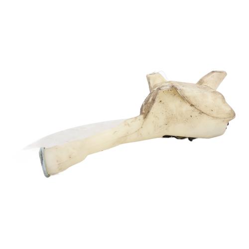 Image Vase de lave glace - HONDA CIVIC 7