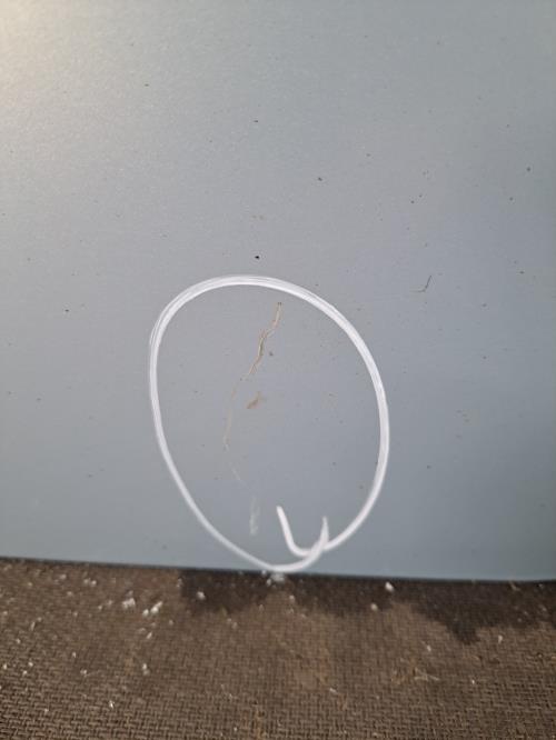 Image Porte arriere gauche - RENAULT MODUS