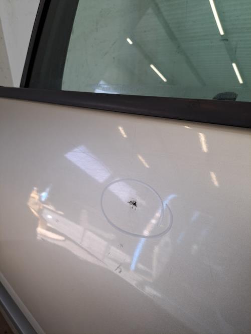 Image Porte arriere gauche - RENAULT SCENIC 2