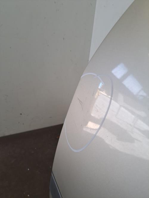 Image Porte arriere gauche - RENAULT SCENIC 2