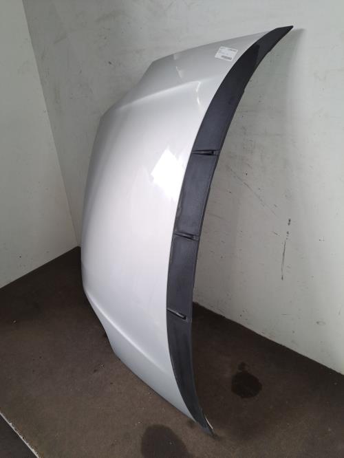 Image Capot - FIAT PUNTO EVO 3