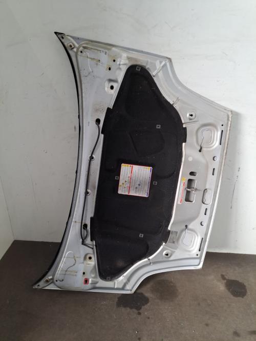 Image Capot - FIAT PUNTO EVO 3
