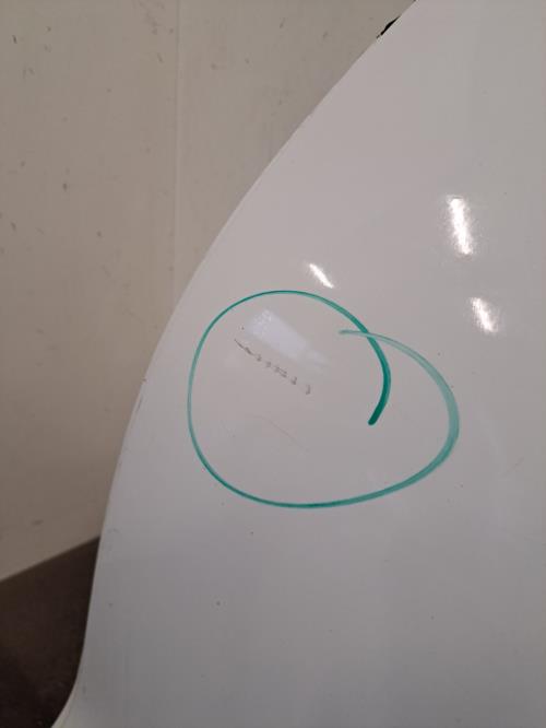 Image Porte arriere gauche - RENAULT CLIO 4
