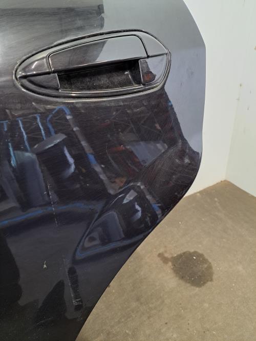 Image Porte arriere gauche - FIAT PUNTO EVO 3