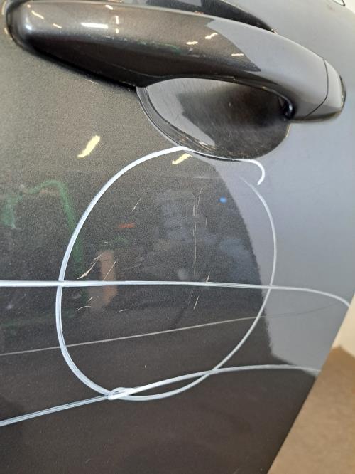 Image Porte arriere gauche - CITROEN C4 2
