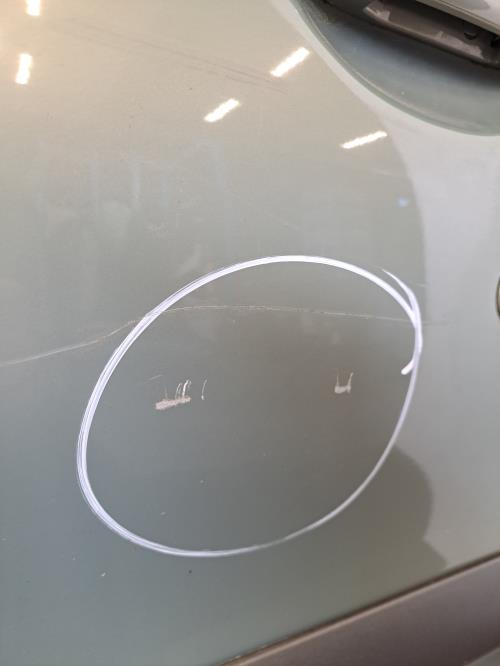 Image Porte avant gauche - RENAULT SCENIC 1