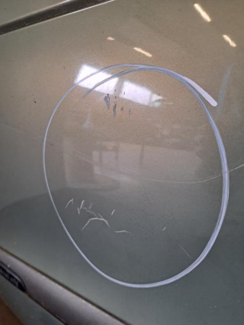 Image Porte avant gauche - RENAULT SCENIC 1