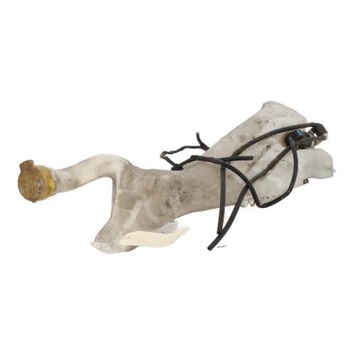 Image Vase de lave glace - RENAULT MEGANE 4
