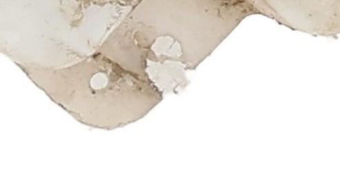 Image Vase de lave glace - CITROEN JUMPY 2