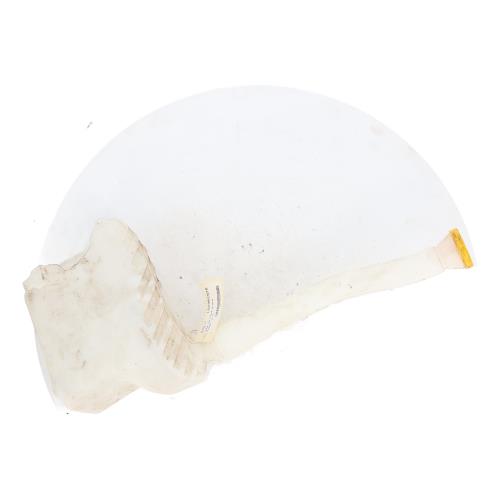 Image Vase de lave glace - NISSAN NV400
