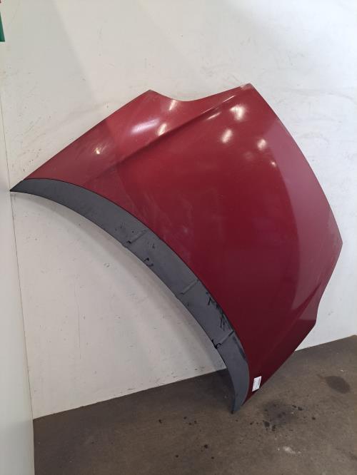 Image Capot - FIAT PUNTO EVO 3