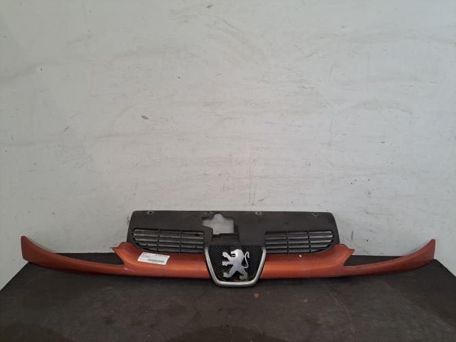 Image Calandre - PEUGEOT 206