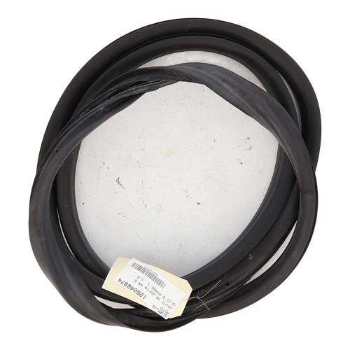 Image Joint de porte arriere gauche - RENAULT CLIO 5