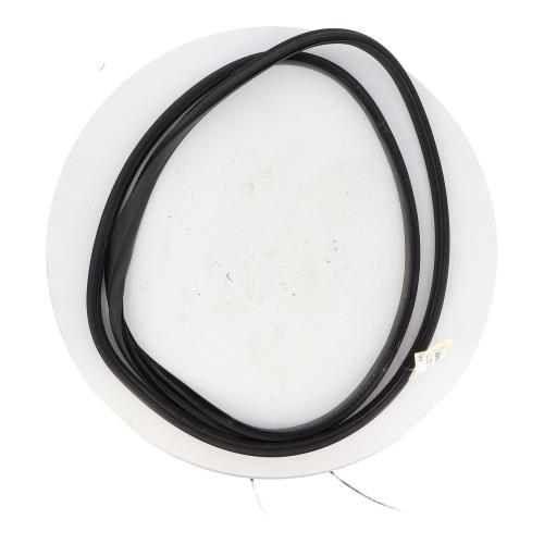 Image Joint de porte avant gauche - RENAULT CLIO 5
