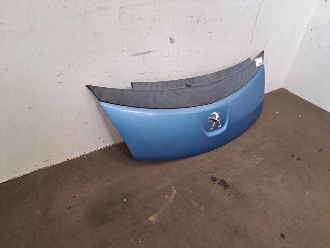 Image Capot - PEUGEOT ION