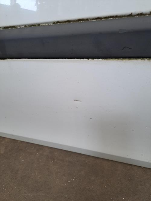 Image Porte avant gauche - RENAULT CLIO 3