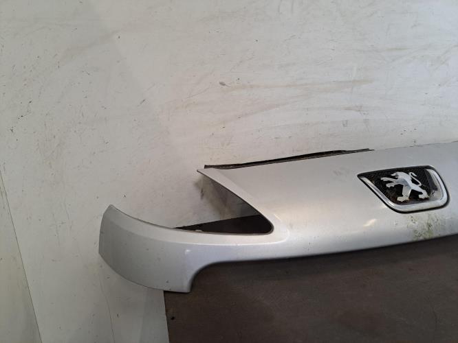 Image Calandre - PEUGEOT 1007