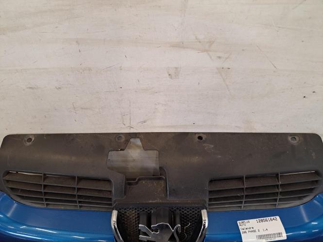 Image Calandre - PEUGEOT 206
