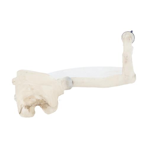 Image Vase de lave glace - DS DS3