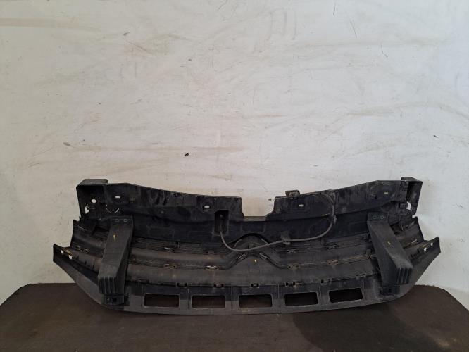 Image Calandre - CITROEN C3 3